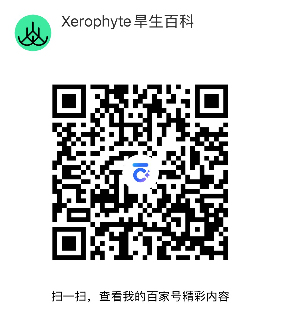 百家号 扫码关注