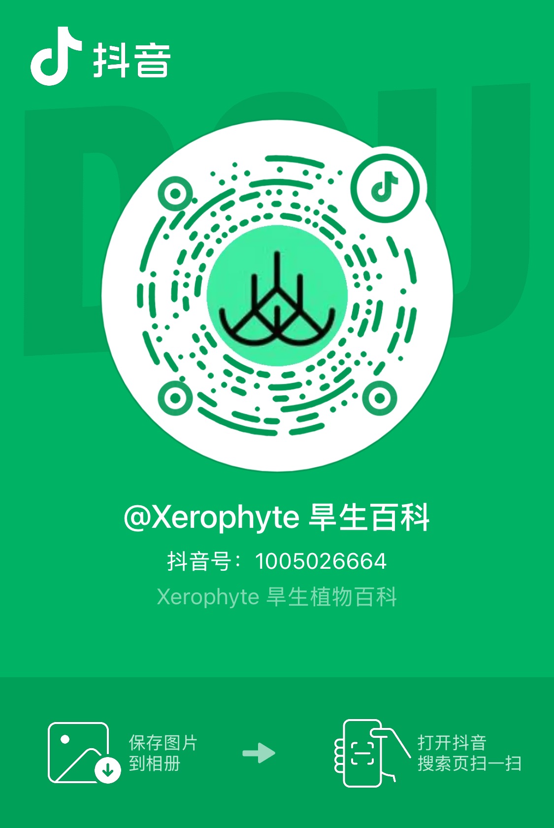 抖音 扫码关注