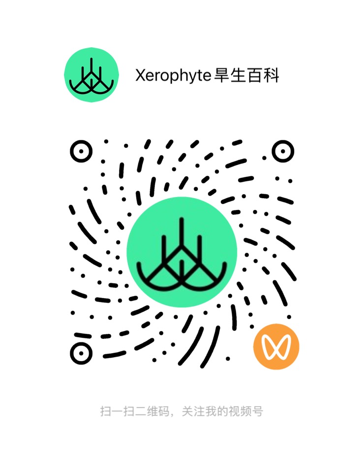 视频号 扫码关注