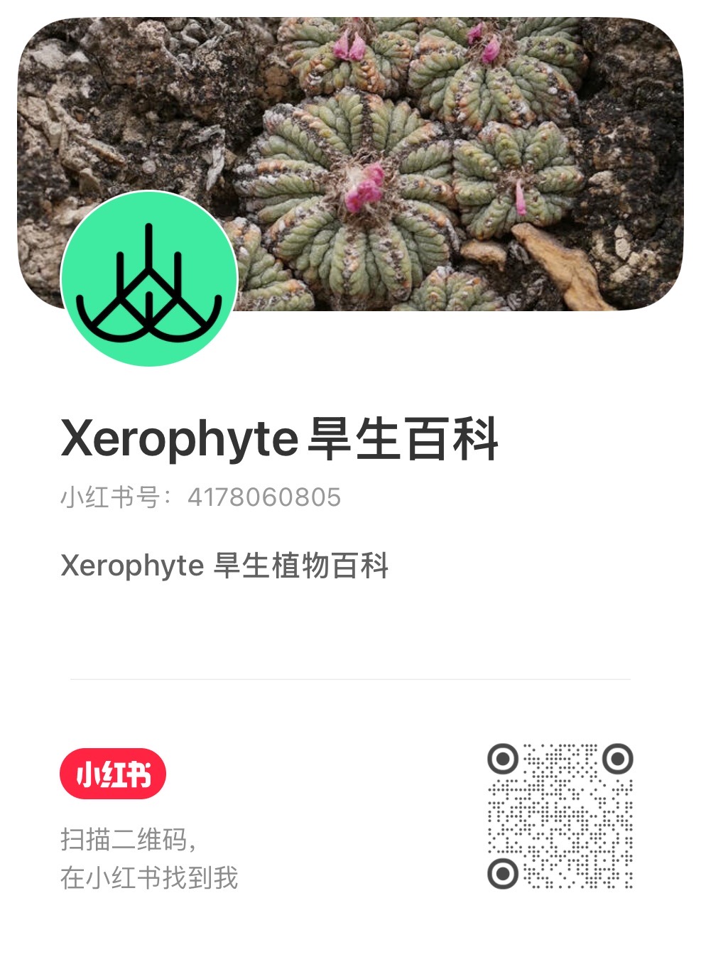 小红书 扫码关注